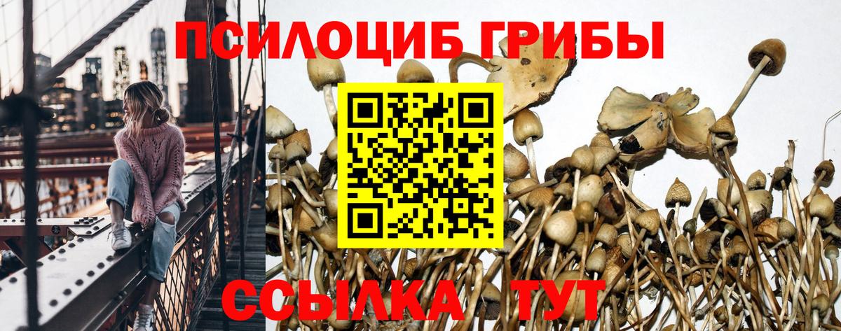 Псилоцибиновые грибы мицелий  Галлюциногенные грибы прущие грибы  Вход с VPN  Иваново 